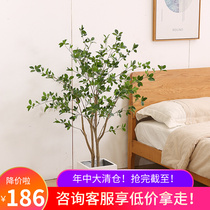 Japan Hangzhong Horse Drunk Wood Nordic Wind Emulation Plant Living Room Indoor Fake Green Planting Landing Bonsai Anaesthesia Wood Simulation