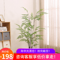 Simulation Green Plant Fern Leaf Tree Decoration Living-room Pendulum Nordic Wind Large Fake Tree Indoor Floor Potted Plant Simulation