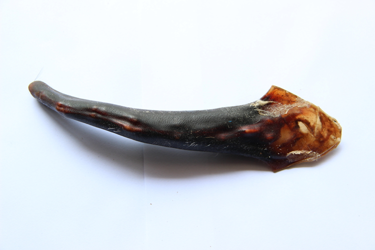 鹿尾巴正品干鹿尾整枝起拍包邮页面有实物图可选配鹿茸鹿鞭泡酒