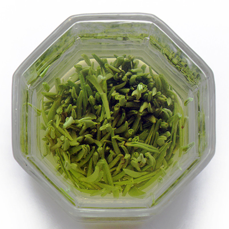 品贤新茗路茶叶新茶绿茶明前一级溧阳翠柏100g/罐清爽柔和