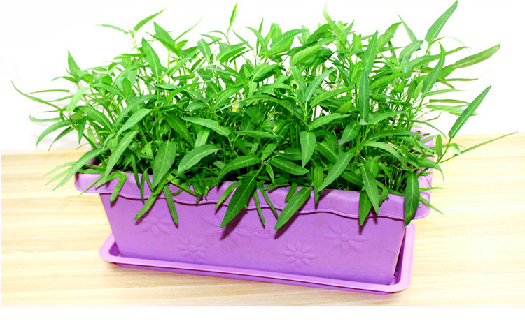 Бесплатная доставка с высокой экологической творческой творческой цветочной горшкой Пластик Толстый длинный квадратный большой цветочный горшок с балконом цветы и растительный слот для посадки