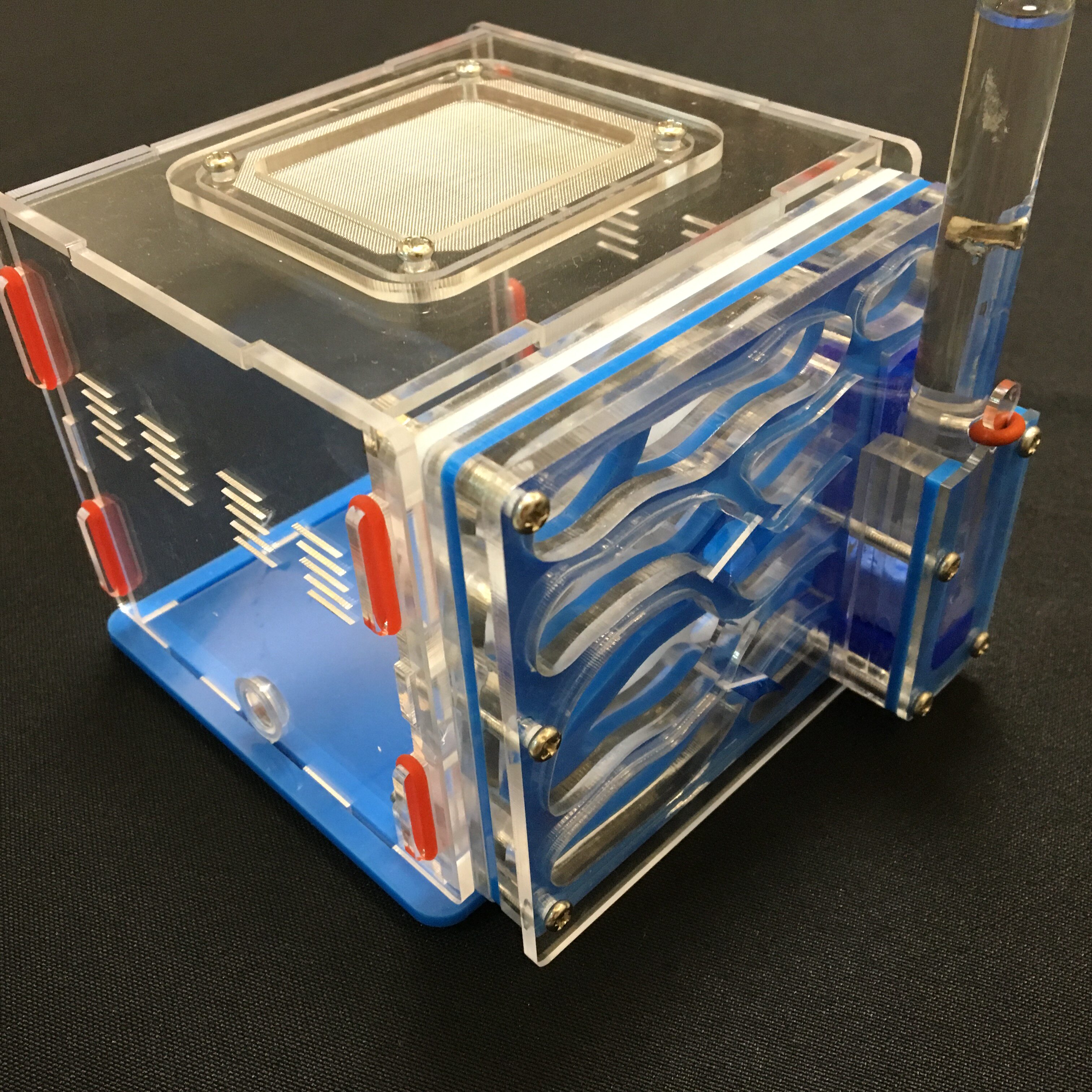 葡萄/亚克力蚁巢/宠物蚂蚁/蚂蚁巢/替代蚂蚁工坊/别墅/迷你粮仓