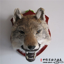 Mongolian handicraft pendulum pieces Animals wall-mounted Home Decorative Wall Accessories specimens emulated wolverhead model Monodinals