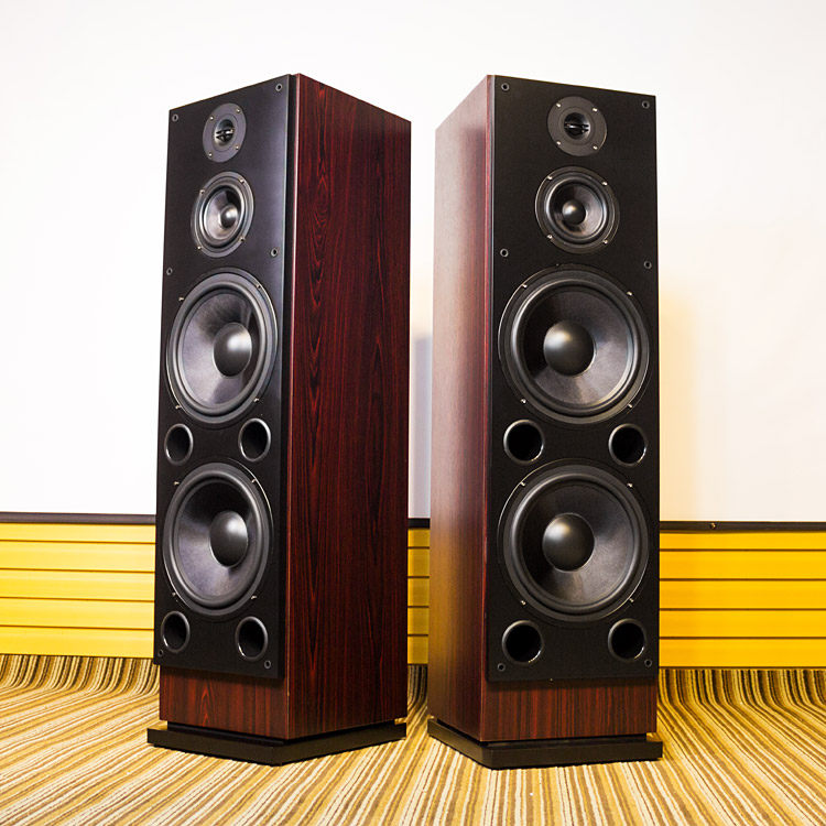 dual 10 inch speakers