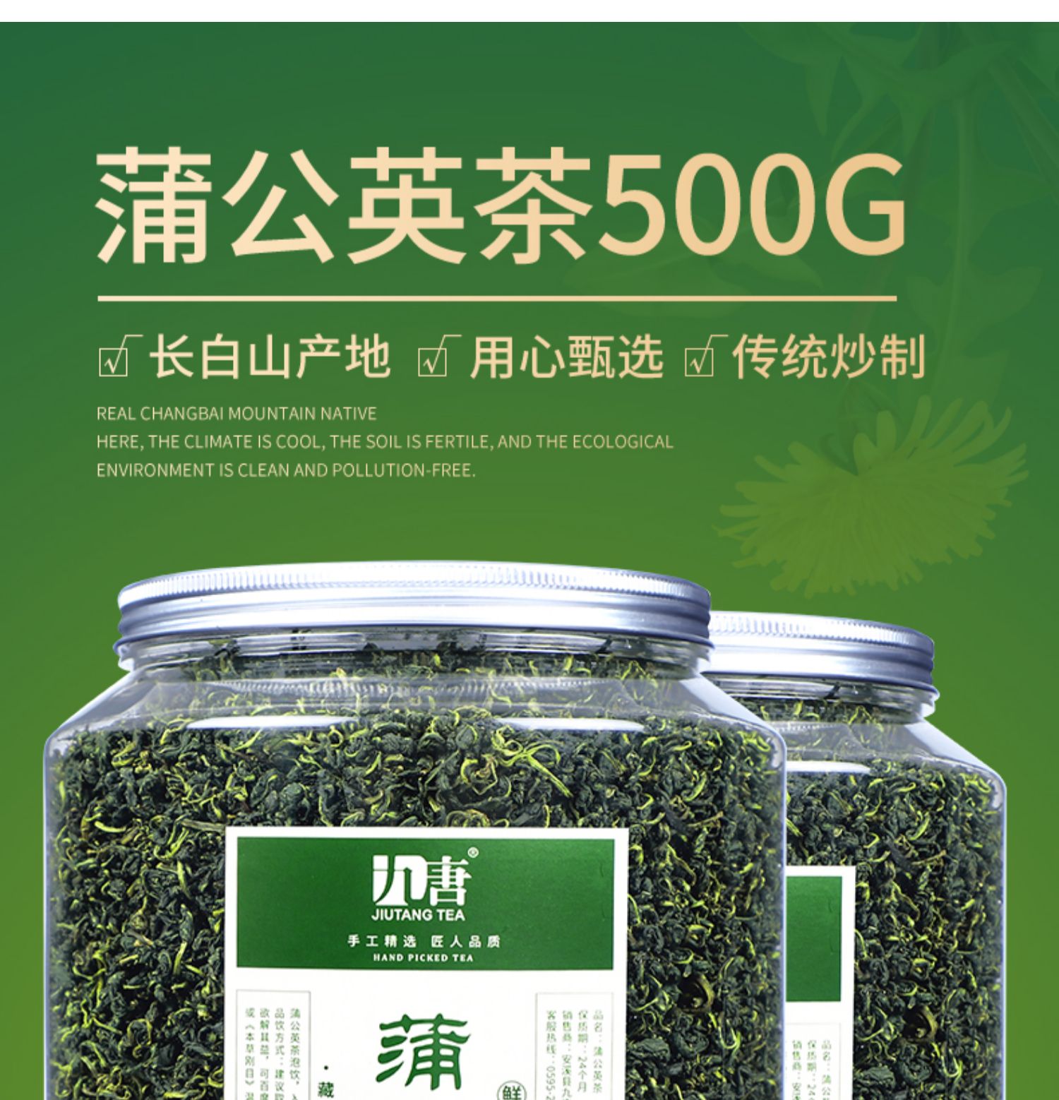 稳定签到！长白山蒲公英茶50g