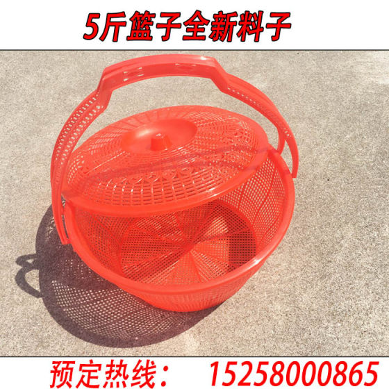 5 Catties Bayberry 바스켓 둥근 뽕나무 과일 바구니 커버 4 Catties Peach Basket New Material 작은 구멍 따로 따기 바구니 오렌지 체리 바구니 5 Catties Bayberry 바스켓 둥근 뽕나무 과일 바구니 커버 4 Catties Peach Basket New Material 작은 구멍 따로 따기 바구니 오렌지 체리 바구니