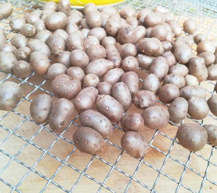 2020年现摘铁棍山药豆5斤中号新鲜山药蛋农家大码淮怀 山药仔籽