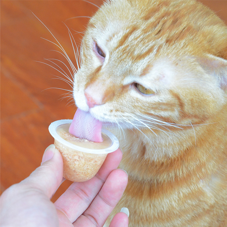 黑沙猫咪布丁 奖励小零食猫果冻 深海鱼口味 25g*8个