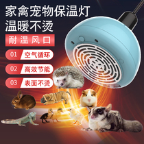 Hamster heating light over winter supplies Honey bag Luding Chicken Warm Air Conditioning Heating Light Pet Hedgehog Warmers