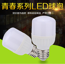 led bulb e27 screw mouth household super bright high power 220V energy-saving lamp White plant lighting indoor led light