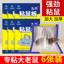Super strong sticky mouse board catch sticky big mouse paste glue drive glue to kill mouse artifact