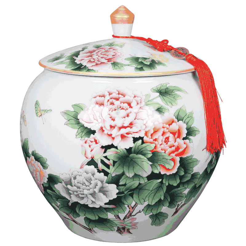 Jingdezhen ceramic wine sitting room adornment seal storage tank furnishing articles creative household porcelain jar of TV ark