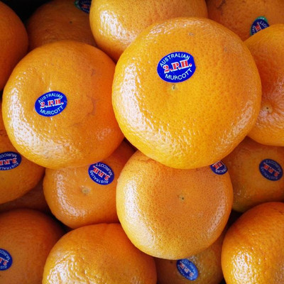 现货进口新鲜水果澳大利亚柑橘澳桔蜜桔澳洲柑甜橘子3斤 顺丰包邮