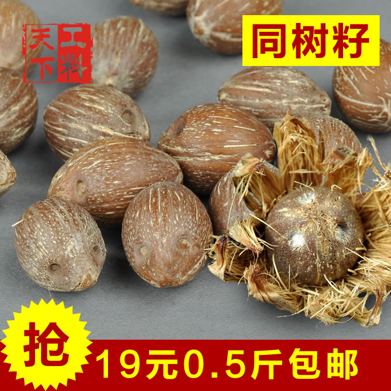 工料天下同树天然招财鼠原籽紫金鼠三眼菩提原料佛珠手链按斤直销