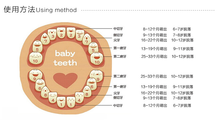 乳牙纪念盒女孩掉换牙牙齿收纳盒子介绍