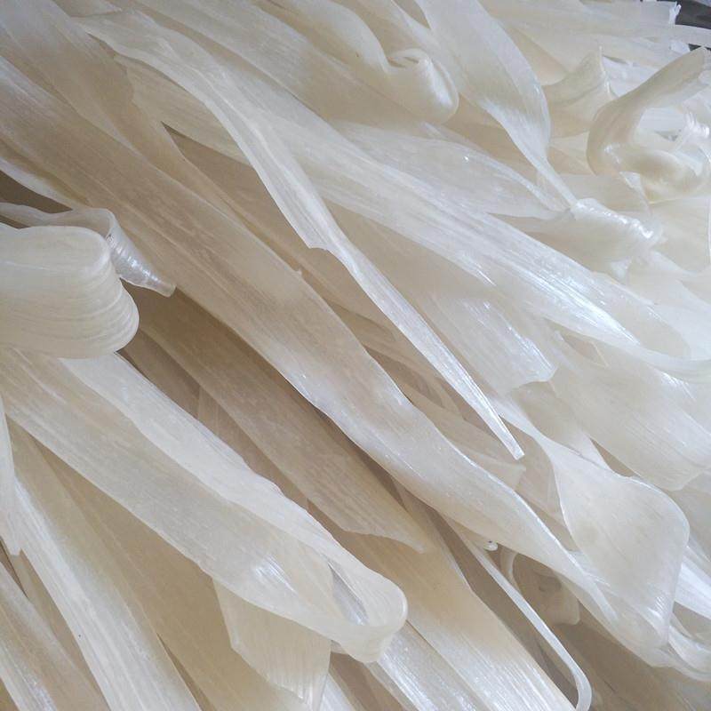 东北特产宽粉 荷叶粉 麻辣烫荷叶宽粉条1500克 荷叶粉宽粉条 包邮