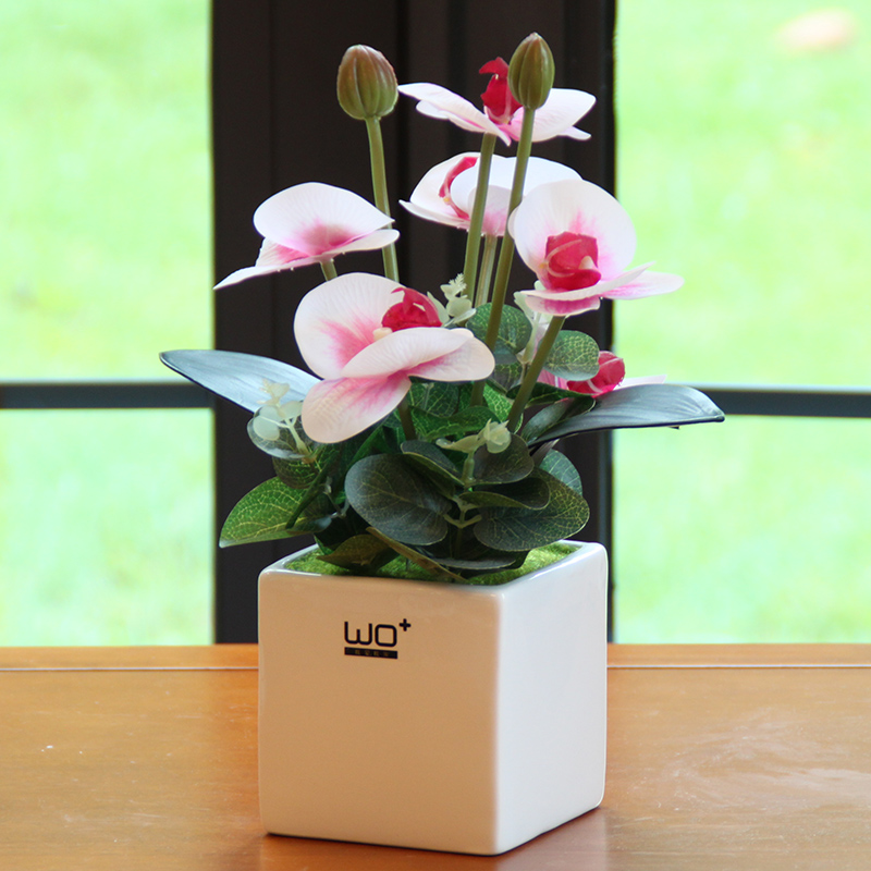 Send the PU + high simulation butterfly orchid floral suit I and contracted desktop conference decoration is seems ceramic flower pot