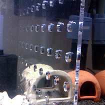 Acrylic fish tank partition plexiglass Aran dragon fish partition fish tank isolation plate size can be customized