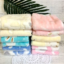 Squirrel Groundhog Totoro Honey Lobet Rabbit Pet Blanket Warm Cotton Nest Coral Velvet Blanket All Size