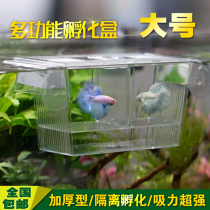 Self-floating fry box Double-layer juvenile hatchery box Guppy sick fish isolation box Betta box breeder large
