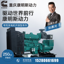 250KW Chongqing Cummins NTA855-G1A Diesel Generator Set Fully Automatic Hotel Hospital Spare Quark