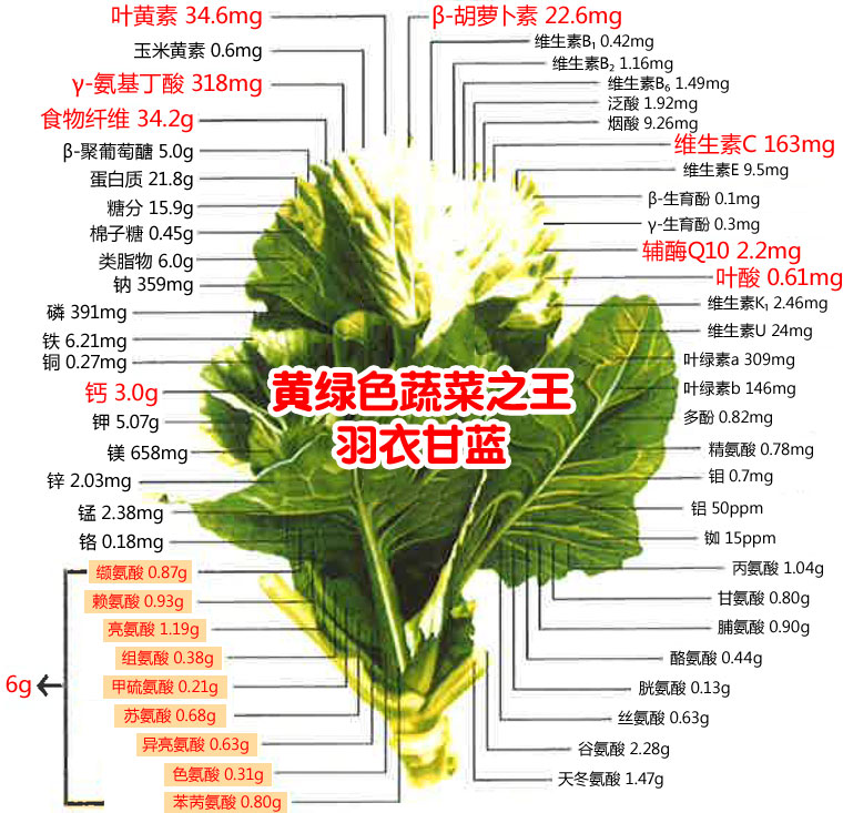新鲜蔬菜羽衣甘蓝500g叶杜丹绿叶花包菜kale 江浙沪4斤包邮