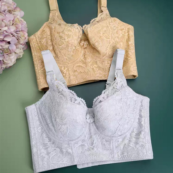 Five-breasted adjustable underwear for women gathering breasts with large size thin bra correcting external expansion and anti-sagging bra summer
Five-breasted adjustable underwear for women gathering breasts with large size thin bra correcting external expansion and anti-sagging bra summer