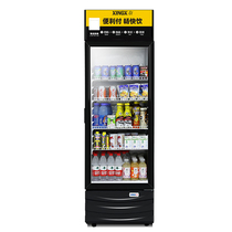 Star Drinks Cabinet Convenience Store Refrigerated Display Case Supermarket Commercial Fridge Vertical Display Ice Cabinet