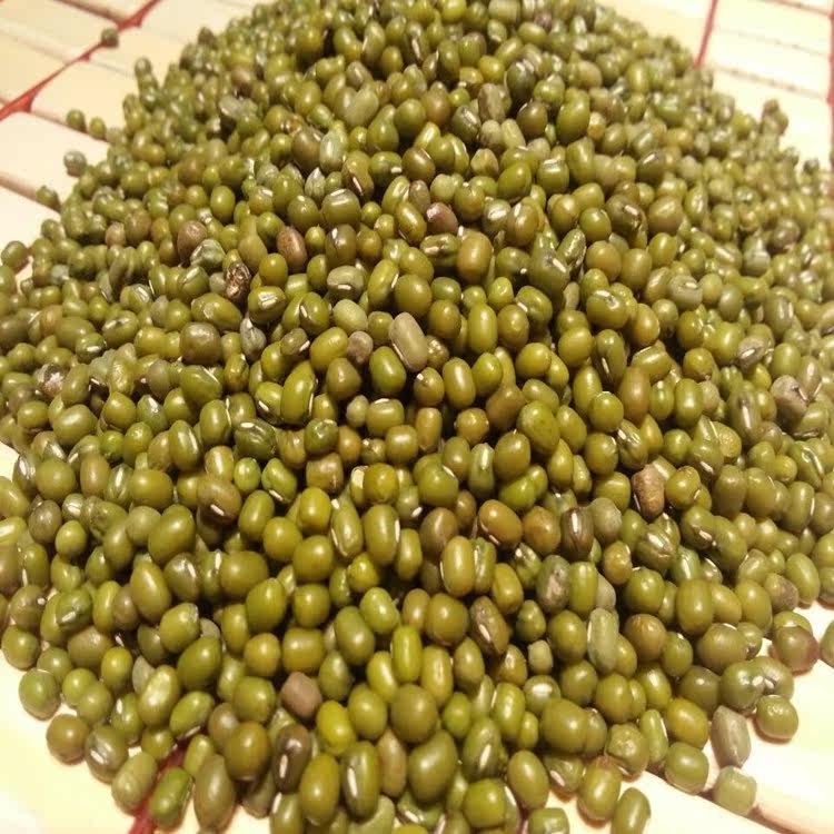 云南农家自种有机小绿豆毛绿豆笨绿豆清热解暑解毒500g特价包邮