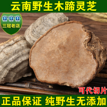 Yunnan wild wood hoof Ganoderma lucidum Horseshoe Ganoderma lucidum Changbai Mountain wood hoof layer hole fungus Ganoderma lucidum tablets 250g free slices