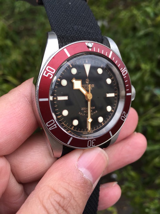 帝舵小红花 - 闲鱼.淘宝二手