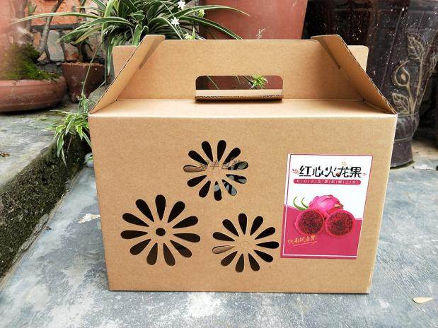 红心火龙果包装箱手提装火龙果礼盒装通用水果包装盒纸箱包装定制_双