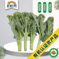 Rainbow rain Organic vegetables farm straight to Zilian Moss 250g Jingjin - Tianjin Hebei full 100