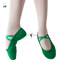Blue Green childrens dance shoes soft bottom dance practice shoes cat claw shoes girl ballet shoes yoga shoes body