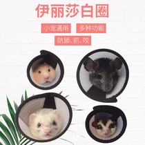 Squirrel Totoro Elizabeth ring honey Grosser ferret cut nails Bath injury anti-licking wound anti-bite artifact