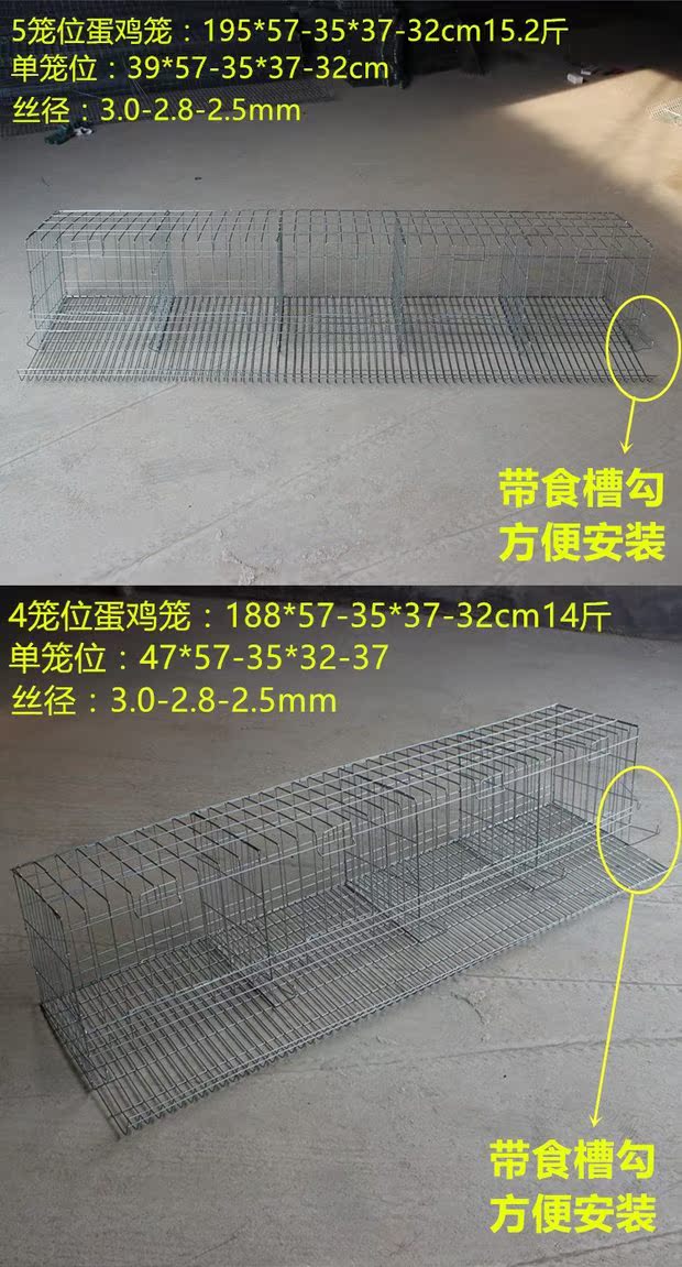 志昂加粗型蛋鸡笼全自动滚蛋鸡笼4笼位鸡笼5笼位蛋鸡笼全套配件
