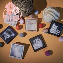 Venus Marble New Cat is a Cat with Eye Disk