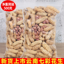 New goods Seven colorful peanuts Yunnan wild ground original flavor peanut rice with shell raw cooked fresh seed small snacks fried stock