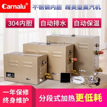 Steam engine Wet steam sauna Wet steam machine generator Steam room equipment sauna stove Household commercial digital display sauna machine