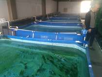 Knife Scraping Cloth Bracket Pet Swimming Pool Home Adults Childrens Swimming Pool Fish Fish Brocade Carp Suspended Mobile Fish Tank