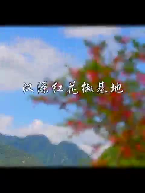 四川青花椒案图片