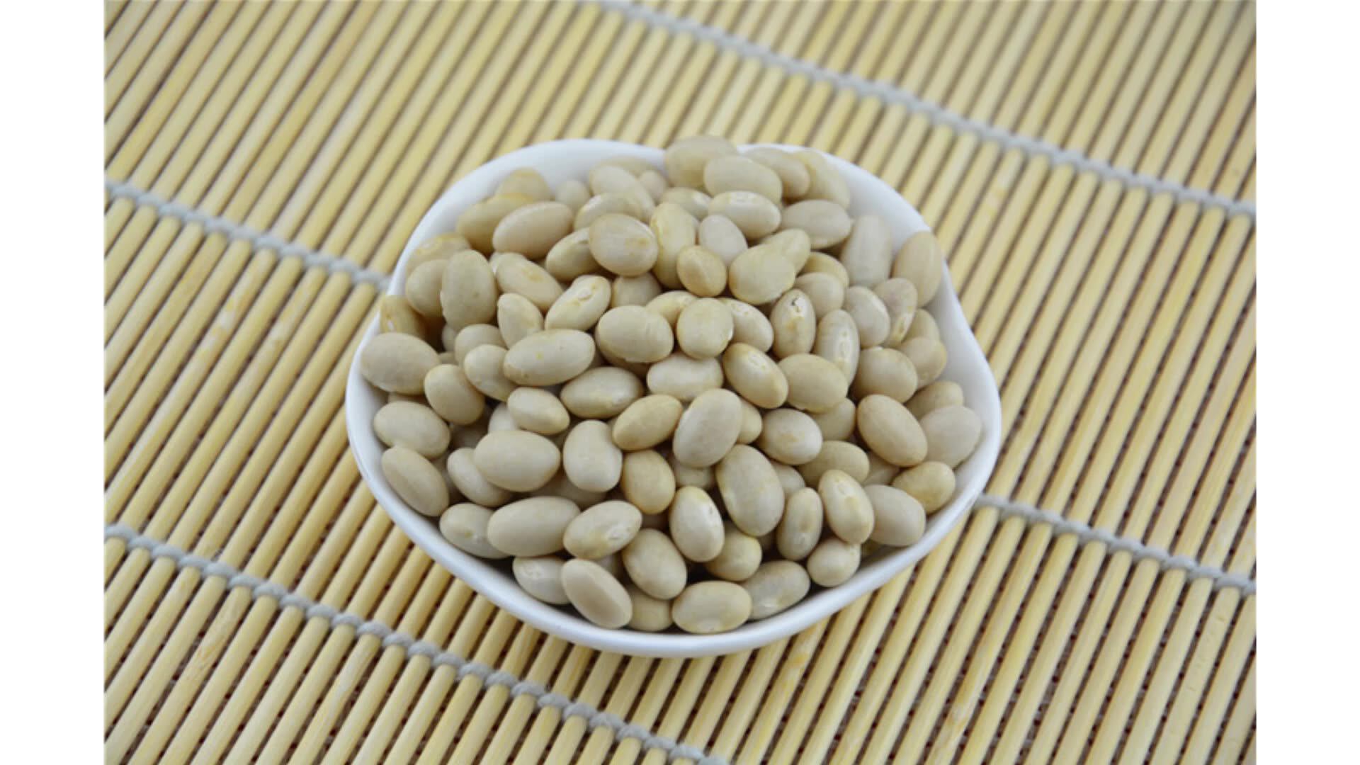 non-gmo best price navy bean small white kidney beans