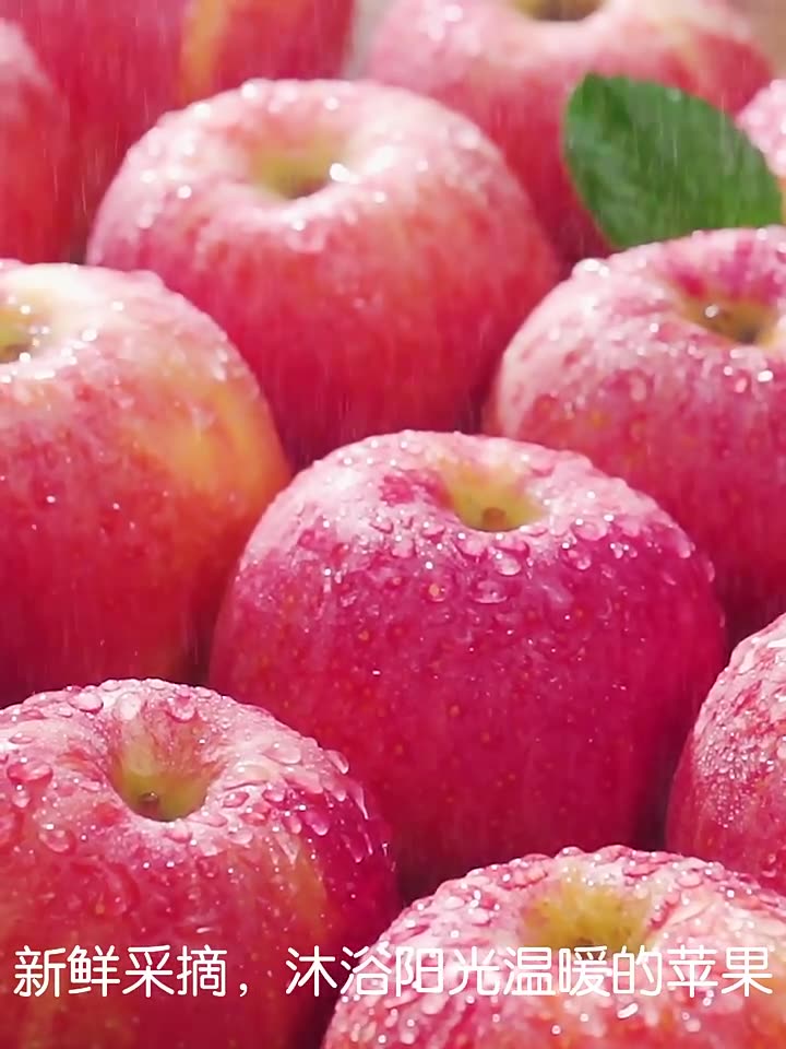 正宗烟台栖霞红富士苹果脆甜山东新鲜水果整箱当季包邮10斤冰糖心