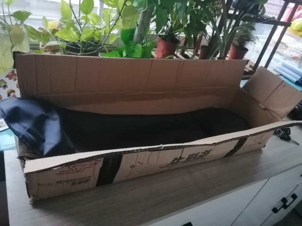 80cm专业级四轮滑板双翘板怎么样,当生日礼物好不好呢,第4张 80cm专业级四轮滑板双翘板怎么样,当生日礼物好不好呢,第4张