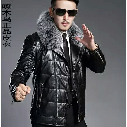 Одежда из кожи Woodpecker 16950 2016 Одежда из кожи Woodpecker 16950 2016