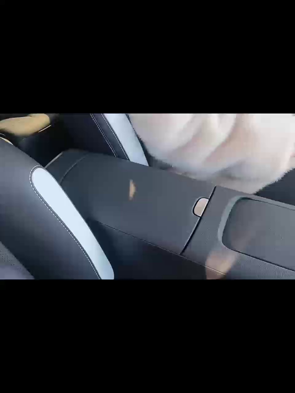 smart精灵3号车扶手箱收纳这样做超实用✨