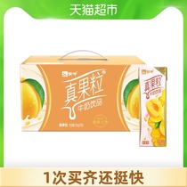 Mengniu real fruit peach fruit 250g*12 boxes full carton boxed milk food official