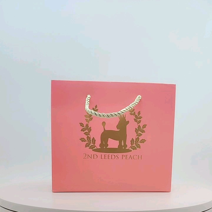 low moqcustom  paper gift bag  white paper shopping gift bag