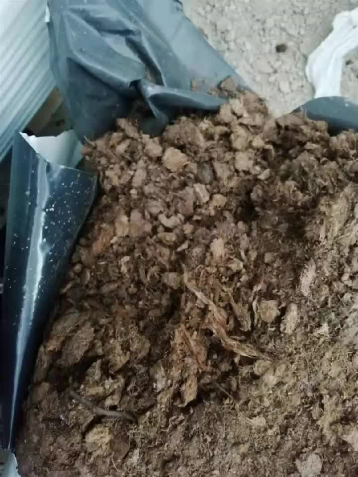 荷兰产捷菲优质黑泥炭土园艺花卉多肉种植无土栽培蔬菜育苗用基质