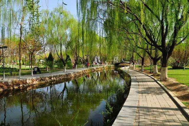 这里,别墅聚集沭阳也是一座公园之城,紫苑公园,中山公园,森林公园园林银川v别墅汇丰海宝图片